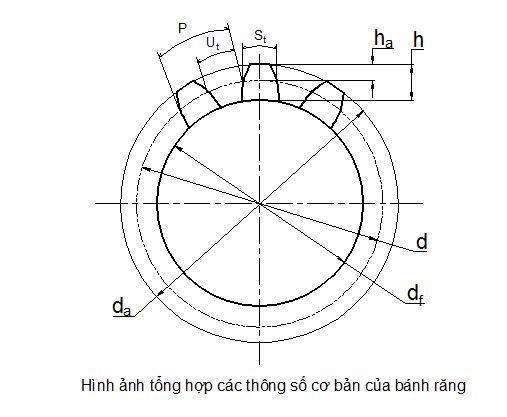 thong-so-co-ban-module-banh-rang